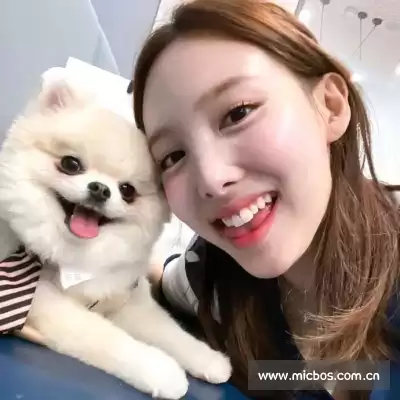 仲会真